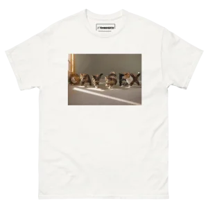 Gay Sex.
